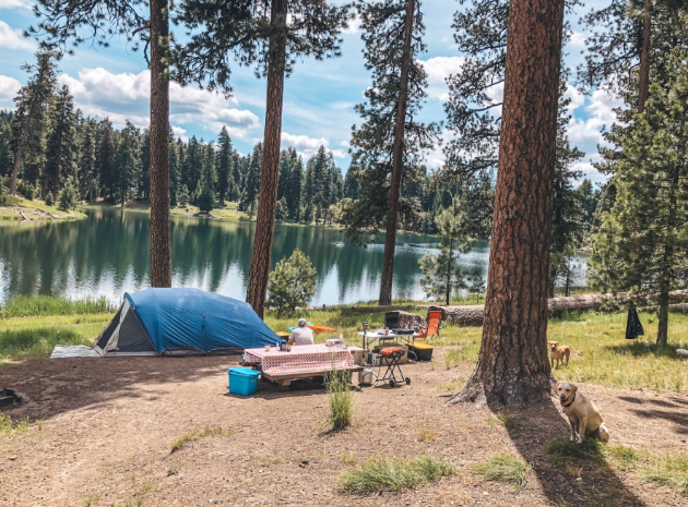 Picture of A small campsite next to a lake Picture of A small campsite next to a lake